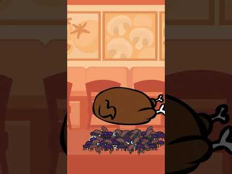 Turkey Trouble #bfdi