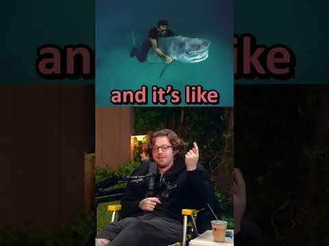 Count your days sharks.