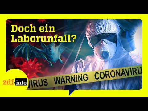 Neue Spuren im Fall Covid-19: Ursprung im Labor oder Wildtiermarkt? | ZDFinfo Doku