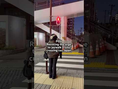 we obey every rule in japan 🇯🇵 🫡