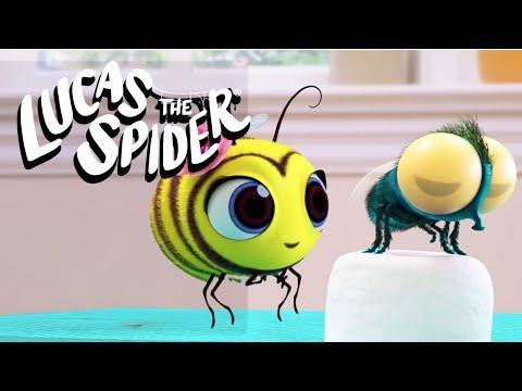 Findley Does NOT Like to Dance!  | Lucas The Spider