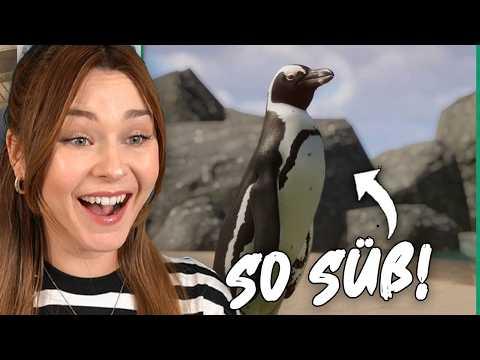 Neue Pinguine für meinen Zoo! - Planet Zoo: Muckelzoo (Stream vom 06.03.2026)