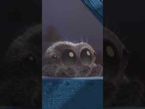 Lucas the Spider Tries to Sing Himself to Sleep #lucasthespider #bedtimestories