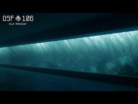 106 // Blue Meridian - 1 Hour Calming Underwater Soundfield