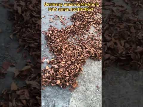 Amazing Micro Leaf Blower!