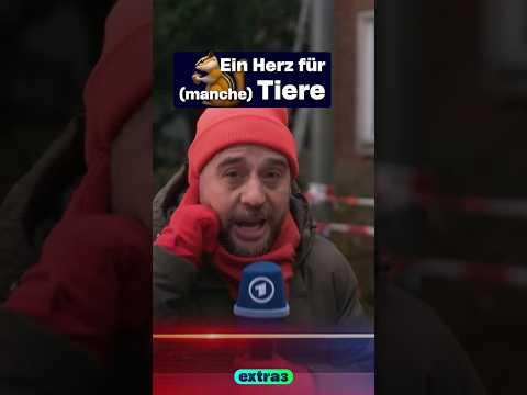 Ein Herz für (nicht alle) Tiere #Shorts #extra3