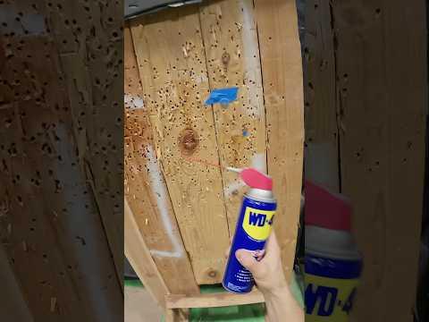 The Only Right Way to Use WD-40 🤯🤯🤯 #shorts #antonfomenko