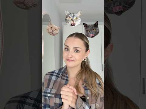 Anzeige| Katzen- Problem 🐱| XLAETA