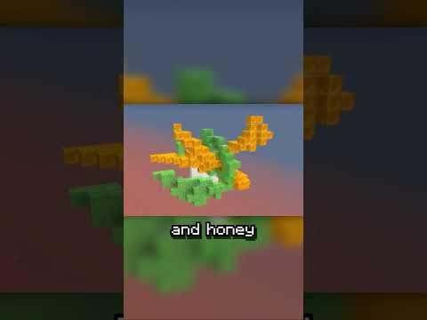 The Best 7x7 Piston Door