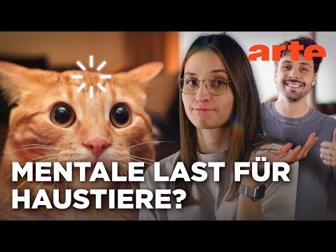 Die Psychologie der Tiere | Vortex | ARTE