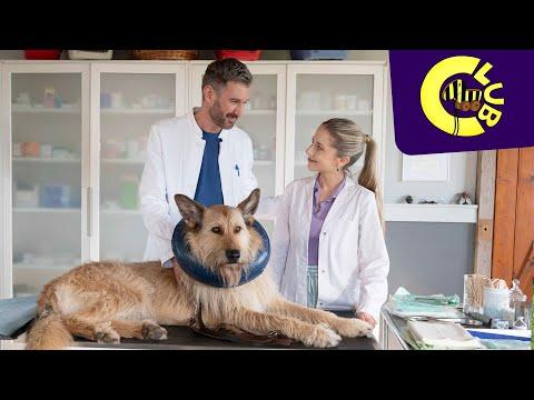 Greta ist zurück - „Tiere bis unters Dach“ mit Enya Elstner  | Tigerenten Club