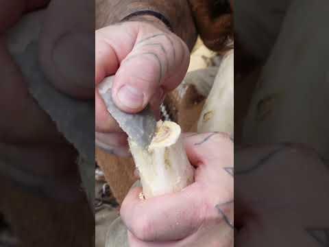OTZI The ICEMAN Axe Build #ötzi #survival #flintknapping #bushcraft #outdoors #nature #history #diy