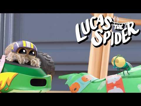 Crashing Moments with Findley and Lucas the Spider | Kids Cartoon
