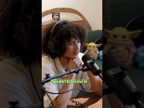 Psychoaktive Pilze in Deutschland? 🍄‍🟫🍄