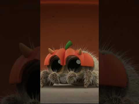 Lucas gets a taste of his own medicine #LucastheSpider #cartoons #cartoonforkids