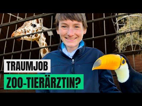 Tierärztin im Zoo: zwischen Tierliebe und Kritik