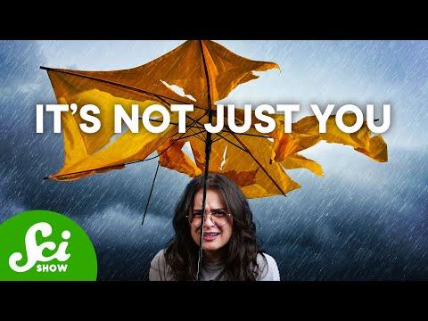 Yes, It Really Does Rain More on Weekends