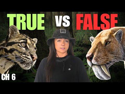 The "False" Cats | History of Cats Episode 6