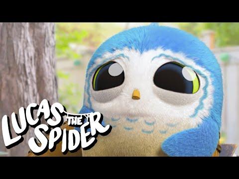 Lucas The Spider Tries to Cheer Up Arlo
