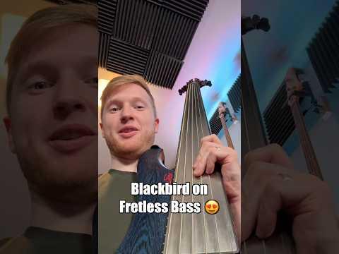 Most beautiful song on fretless bass 😍😍