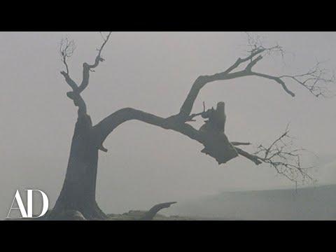 The Weather is a Main Character in Wuthering Heights