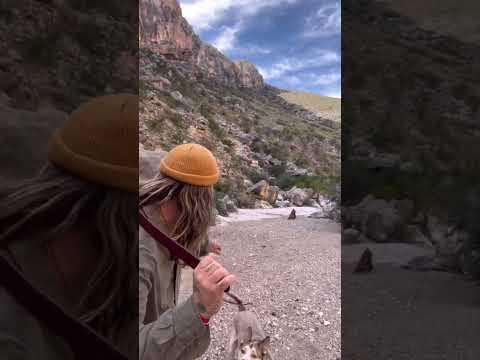 HUNTING Sticks #survival #prehistorictools #bushcraft #primitiveskills #nature #outdoors #stoneage