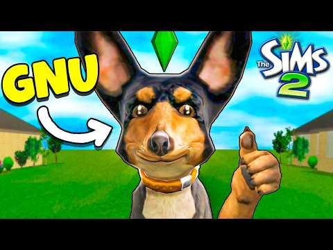 Ich versuche in Sims als Hund zu überleben und VERZWEIFLE dabei!