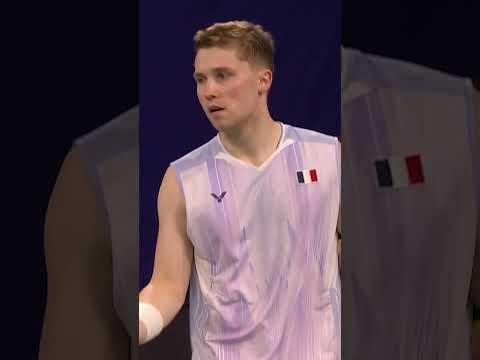 Beautifully placed backhand #shorts #badminton #BWF