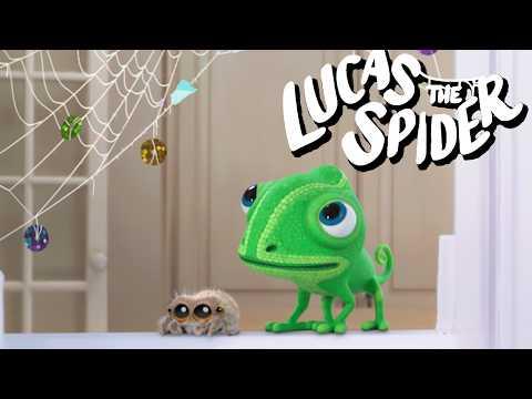 Lucas the Spider Tries to Spin Some Webs + More Cartoons for Kids