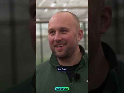 Gärtner wird Elektrohändler #Shorts #extra3