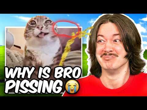If I Laugh, The Video Ends with an Eye Tracker #23