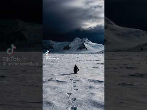 Don't let me waddle away alone. Help us hit 30k!🐧