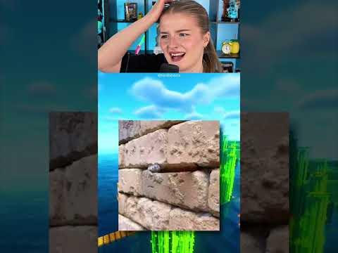 Hier muss man zweimal hinschauen #shorts #lidiro #schule #memes