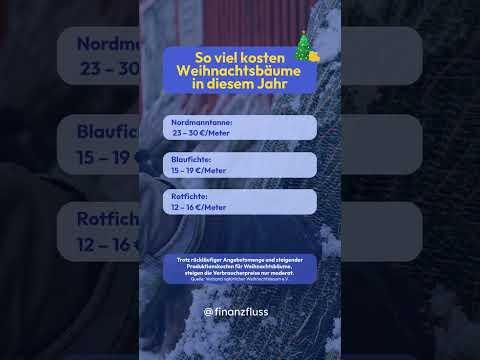 So viel kosten Weihnachtsbäume 2025 🎄