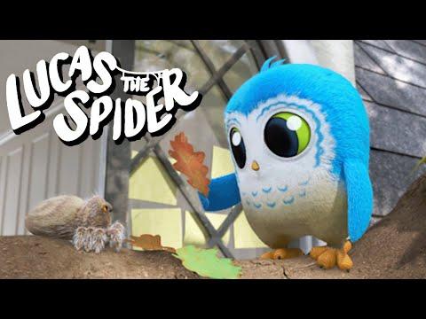 Arlo Discovers The Season of Fall | Kids Cartoon | Lucas The Spider