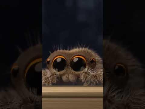 It's Cold Outside for Lucas the Spider #lucasthespider #cartoons #shorts
