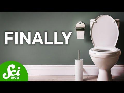 The First Human Bladder Transplant Just Happened