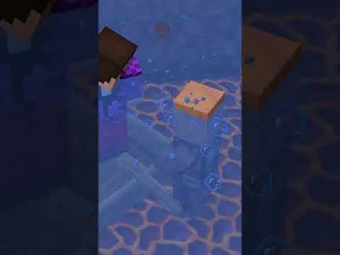 Zombey beobachtet alles GANZ GENAU