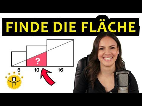 Wie groß ist die Fläche? – Mathe Wettbewerb
