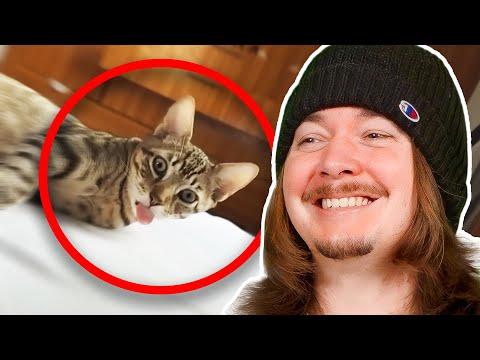 Daily Dose of Internet Just Keeps Getting Better