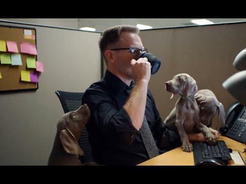 Office Hours - Ask Me Anything!