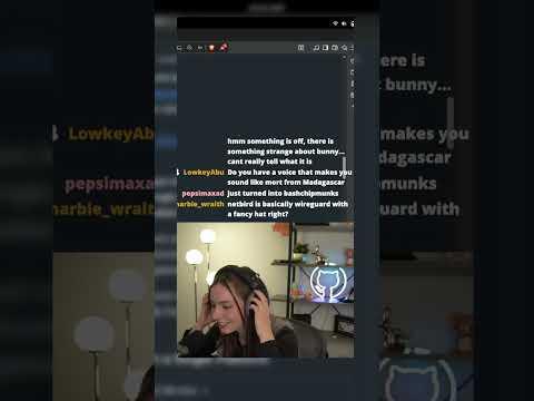 netbird explained (with tiny voice) #opensource #programming #bashbunni