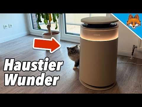 Haustierbesitzer LIEBEN dieses Teil💥(Dreame FP10 Haustier-Luftreiniger)🤯