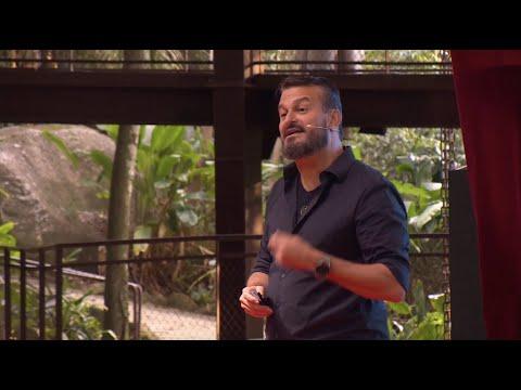 Quais histórias queremos contar?  | David Schurmann | TEDxIlhabela