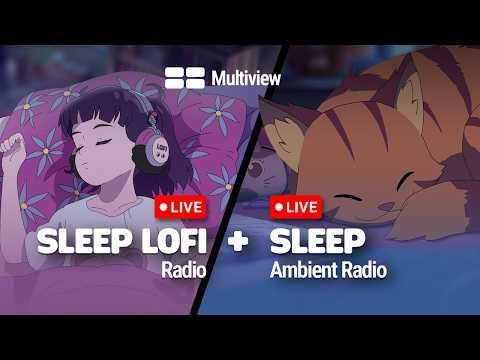 Lofi Multiview 🪟 choose your vibe |  lofi sleep or ambient sleep