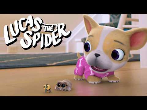 Watch Out for The ROBOT 🤖 + More Lucas the Spider Cartoons for Kids