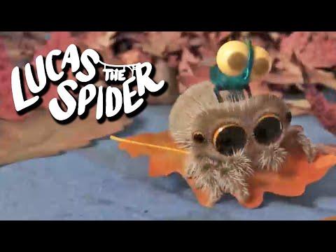 The Sky is Falling!  | Lucas The Spider