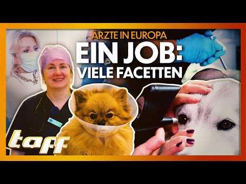 Zwischen Welpen-Tränen und Botox-Partys: Der Wahnsinn im Ärzt:innen-Alltag