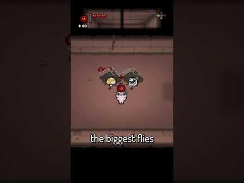 The Biggest Flies #tboi #thebindingofisaac #bindingofisaac #repentance