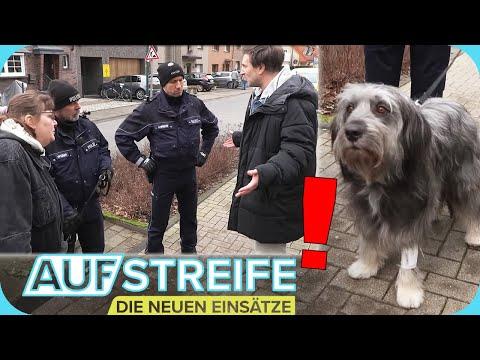 Elsbeth an der Leine eines Fremden: Hunde-Verschleppung im großen Stil?! 🐕‍🦺😧 | Auf Streife | SAT.1